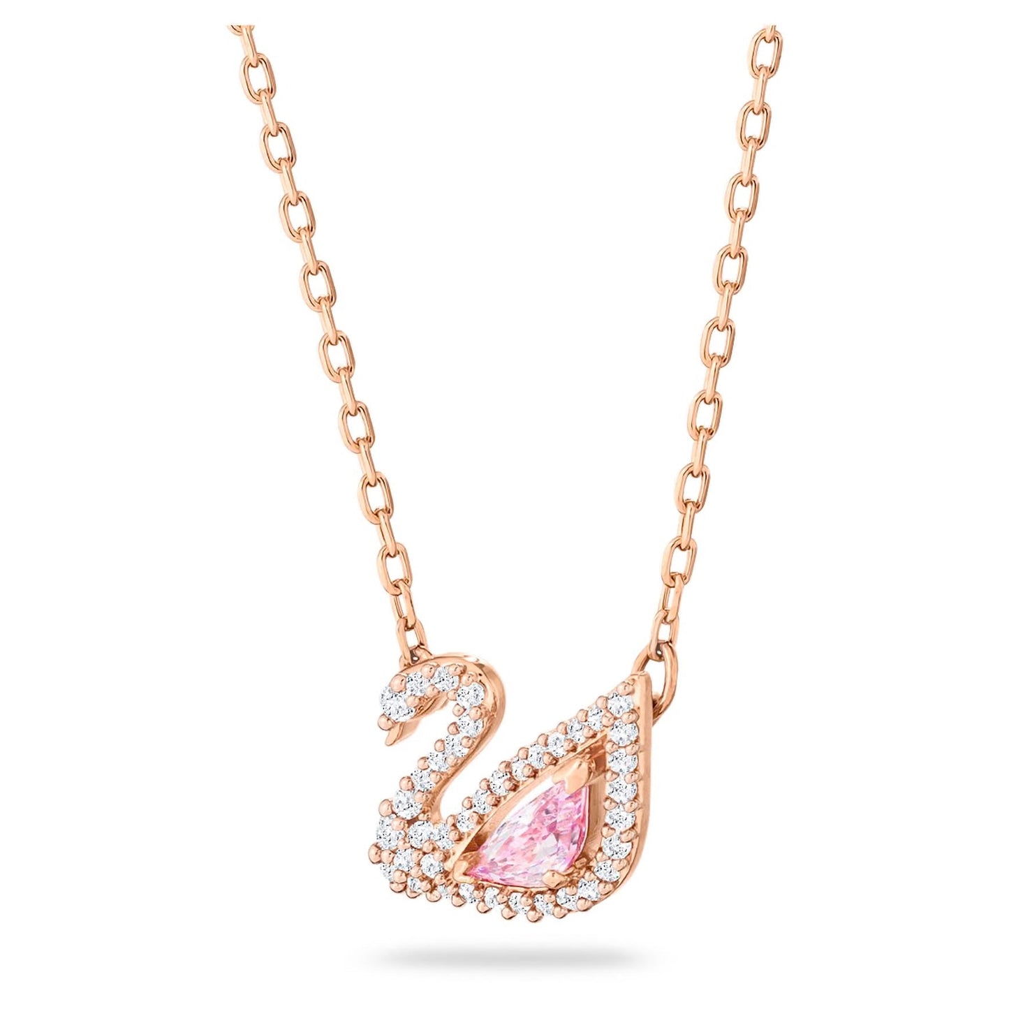 Blush Swan